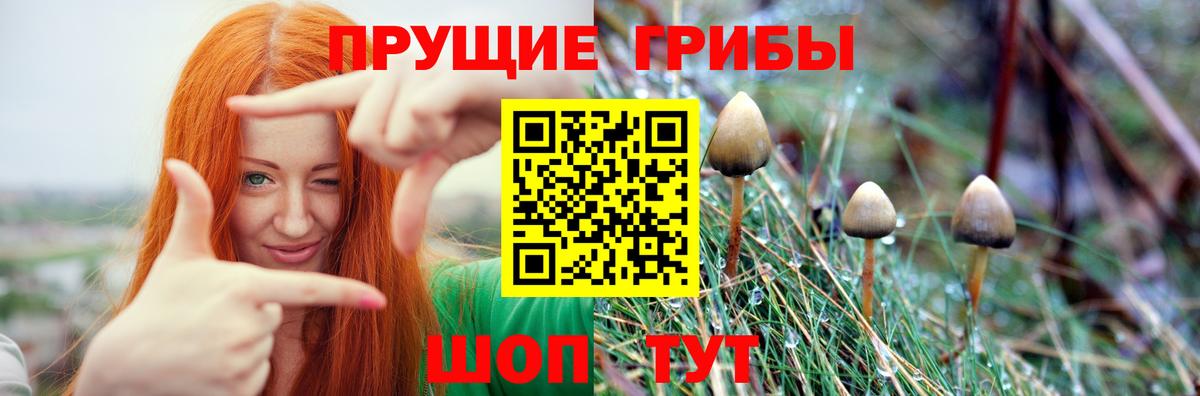 Галлюциногенные грибы прущие грибы Скопин