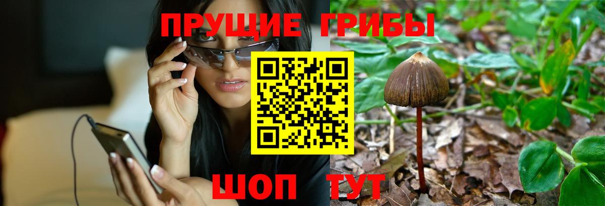 Псилоцибиновые грибы ЛСД  Вход с VPN  Галлюциногенные грибы прущие грибы  Скопин 